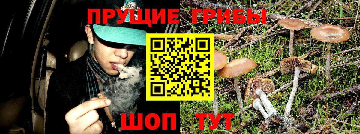 Серпухов  Галлюциногенные грибы Magic Shrooms  Псилоцибиновые грибы Cubensis  Вход с VPN 