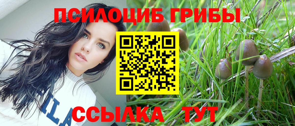 Псилоцибиновые грибы Cubensis Серпухов
